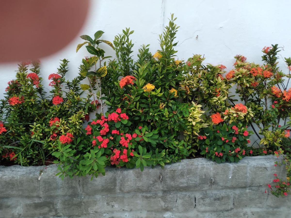 Pousada Terra De Minas Natal Exterior foto