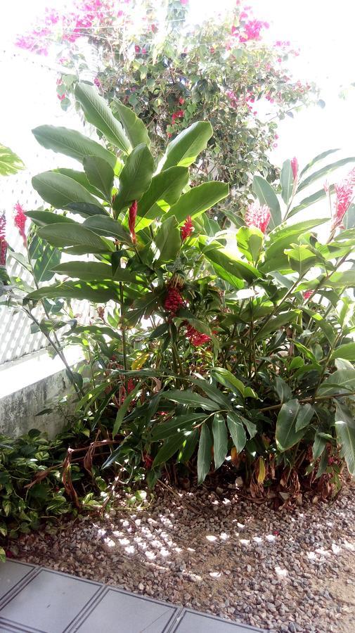 Pousada Terra De Minas Natal Exterior foto